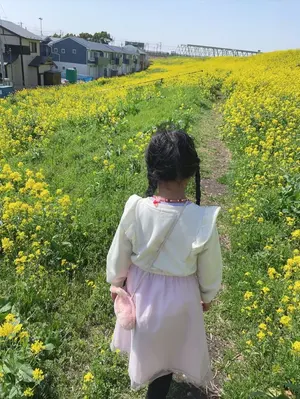 ー千葉県ー折りたたみベッド すのこベッド キャスター付き 留め具一つ