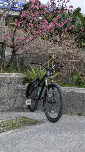 最終価格 BLKMRKT Malice 22 ダートジャンプ MTB BMX - メルカリ