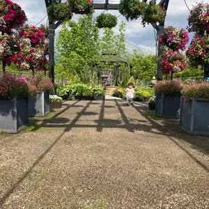 Beyblade X ドランダガージャイアンツver クロコクランチシノビナイフ