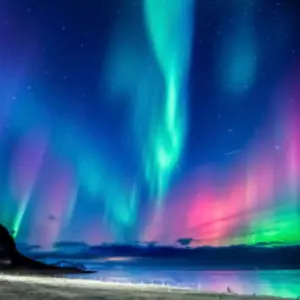 原画！橋本不二子「クリスマスローズ」水彩画 豪華アクリルBOX型額縁