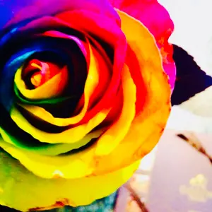 新品未開封】サントリー レモンサワー専用 定量ディスペンサー25ml 1個