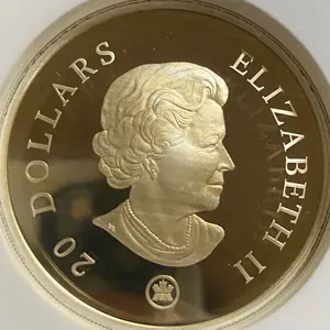 ◎PF70】 ☆5oz巨大銀貨☆2020 £10 英国コイン 金貨 銀貨 - メルカリ