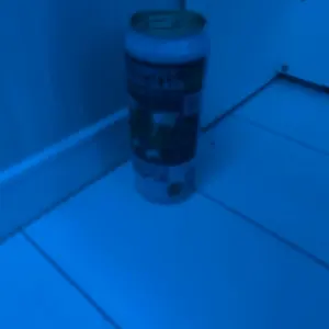 ポーザー