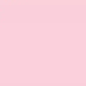 もちマス 桃井愛莉1点 - メルカリ