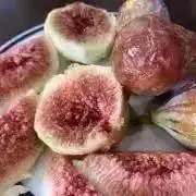 りょうくん