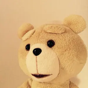 サイカス・デバオエンシス ① / ソテツ 希少 レア 入手困難 第四