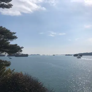 psa10 ヤドキング 映画公開記念パック サザンアイランド 2025年最新】ヤドキング サザンアイランドの人気アイテム - メルカリ