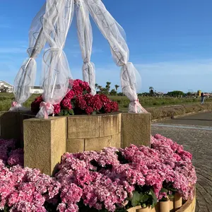 CHANEL カシミヤベージュジャケット サイズ38 - メルカリ