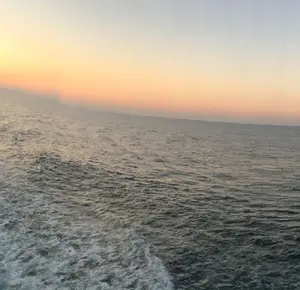 酒器人さま専用】アイラーセン ストリームライン ヘッドレスト付き 美