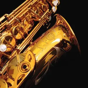 奥津　アルトサックス　マウスピース　ヴィンセントハーリングカスタム Vincent Herring Custom Model for Alto Saxophone | 奥津