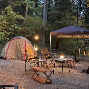 24 Nゲージ 海上 コンテナ まとめ コキ 貨物列車 トレーラー