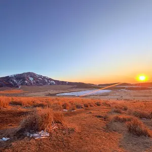 sol soonerorlater Waffle L/S Tee 迷彩サーマル - メルカリ