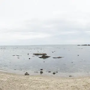 新品2026 ガンバ大阪 アウェイ長袖 No.55 植中朝日 SS-S - メルカリ