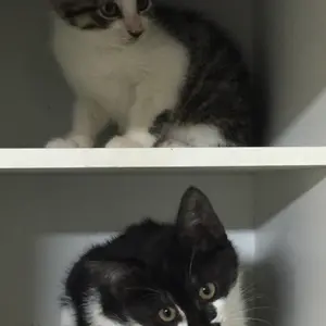 まもる、ん?
