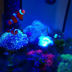 株DAICHI様専用 ジッポZippo スターリングシルバー(純銀)2019年製