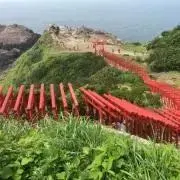 バフ詰合せ 3インチ10枚 5インチ9枚 京都ディテール、ルミナス等