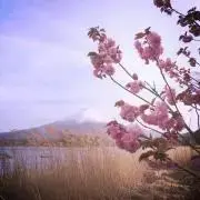 TXT スビン LoveLanguage ラブラン トレカ グローバル 南京錠 - メルカリ