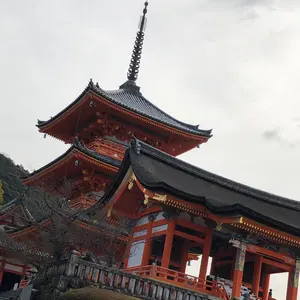 激レア】200万円 白檀原木 - メルカリ