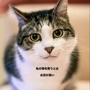 犬のリハビリテーション CANIN REHABILITATION ベーシック - メルカリ