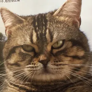 ぽん酢　プロフ読んで下さいね