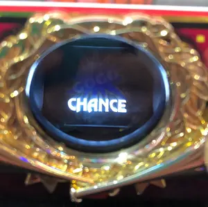 ももペ様専用 信州 長野県 千曲市産 あんず 杏 山形3号 8キロ - メルカリ