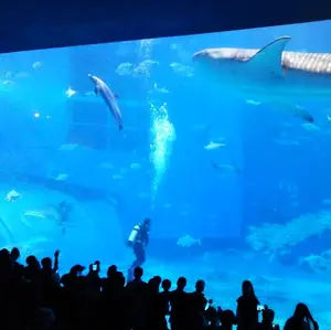 Y51フーガ用アイラインガーニッシュ 本物 ジャンクションプロデュース