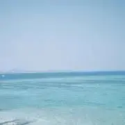 シールのおまけ付けてます✿