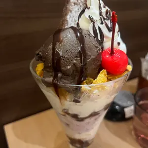 アクリル ケージ フクロモモンガ フクモモ ねくすとショップ - メルカリ