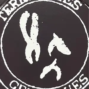 Return Of The Giant Slits 大地の音 Ari-Up CD The Slits – Return Of The Giant Slits | Releases | Discogs