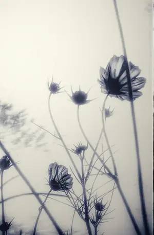 らむね の出品した商品 - メルカリ