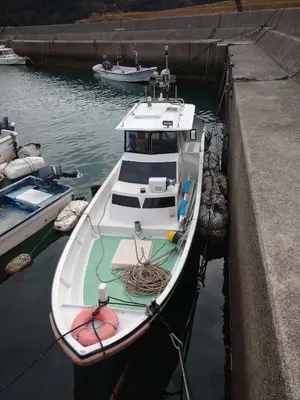大人気　シラスウナギ　ステンレス　タモ網 シラスウナギ タモ網 ステンレス シラス