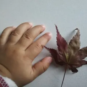 ちょっきんばあや