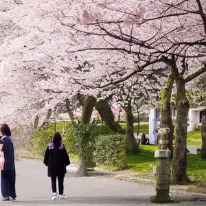 決定版 映画とエロティシズム 福田和彦 河出書房 - メルカリ