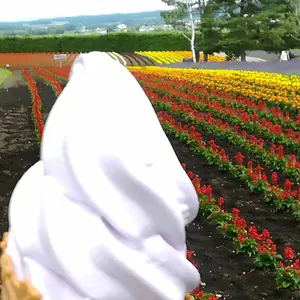 東大生1位‼️ ドラえもん学習まんがほか - メルカリ
