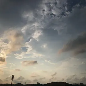 VAKT. 財布ブラウン MOLINIコラボ バクト 二つ折り - メルカリ