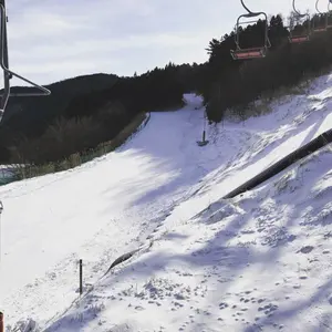 エアロオーバー Z12 キューブ キャンバープレート 5度 C11ティーダ等に