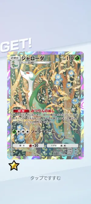 Pokemon LEGENDS ZA アートブック&キーストーン風キーホルダー - メルカリ