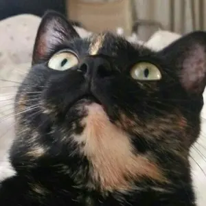 maro　発送は平日のみ