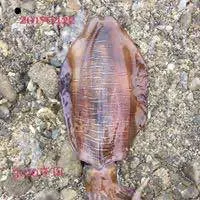 ブリヂストン B2 10.5° diamanaS➕airspeeder - メルカリ