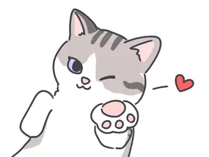 ハオルチア⭐️ 月の恋人⭐️ 斑入り 美苗 美品 発根済み。 - メルカリ