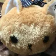 GUCCI ×ヒグチユウコ 猫 コラボ ショッパー ショップ袋 2セット - メルカリ