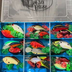 セビレ　ジャンキー　ハニスポ　オリカラ ラインスラック/セビレ [2024年 新色] - HONEYSPOT