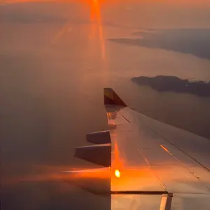 BIRDWELL Beach Britches M グリーンジャケット 未使用品 - メルカリ