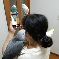 るみぃ