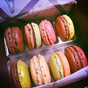 anemone@プロフ一読お願いします