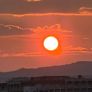 小澤征爾 サイン色紙 - メルカリ