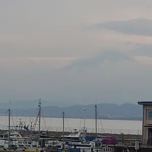 本日限定】ニコラ・フォール HCdB ラ・コルヴェ・ド・ビュリー