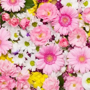 塩田将己 3・30 SHOW-WA ポストカード - メルカリ