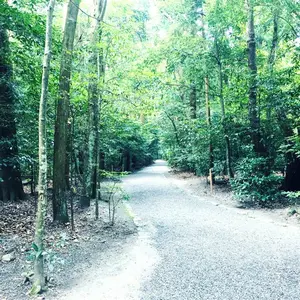 ワールドレップアースボールグリーンとブルー - メルカリ