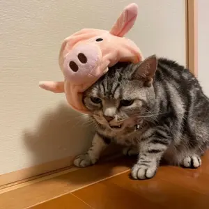 オカモトズ OIOI(マルイ)限定コラボグッズ トラックパンツ